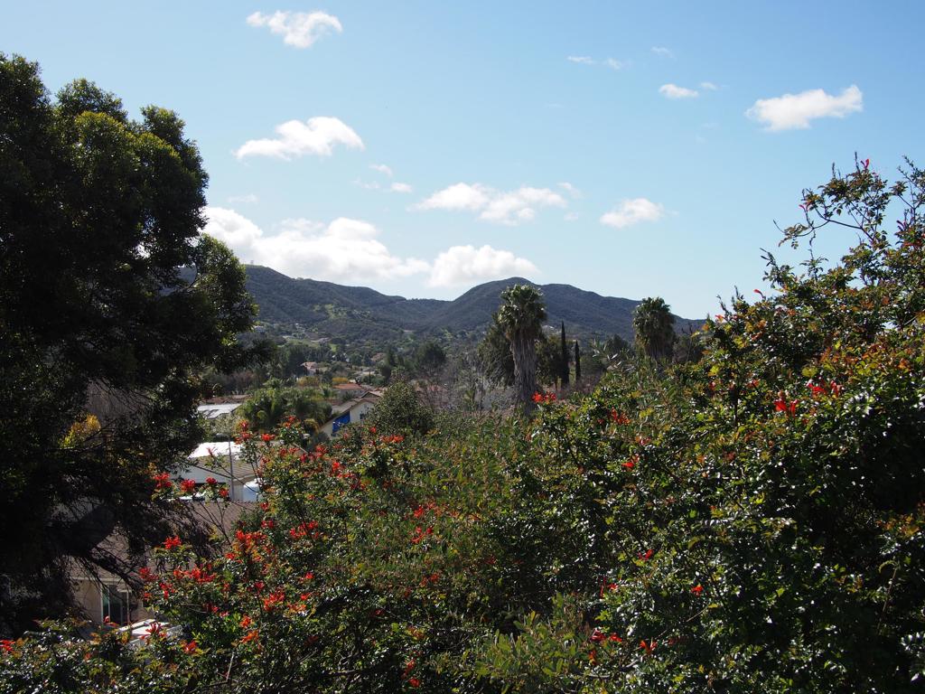 211 Windtree Avenue Thousand Oaks, CA 91320 - Photo 29 of 29 a view of a house with a street