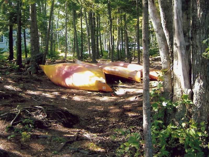 3 Morang Cove Road Lubec, ME 04652 - Photo 9 of 33 Land.