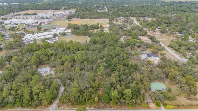 a view of a forest from a window