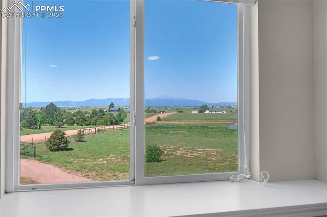 a view of a garden from a window