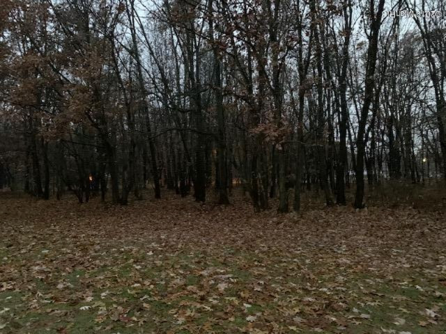 420 Rahn Street Muskegon, MI 49442 - Photo 7 of 28 IMG_1071
