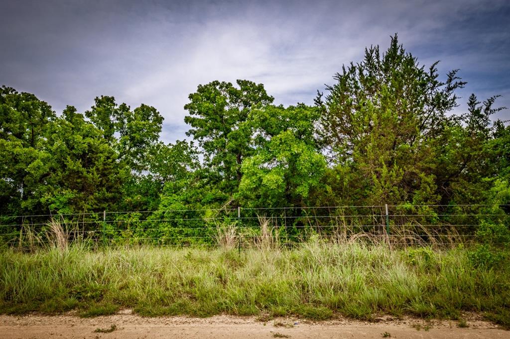 Tbd Barton Chapel Road Jacksboro, TX 76458 - Photo 11 of 13