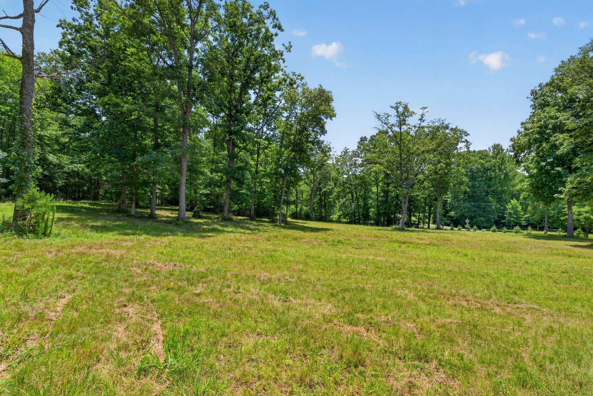 0 Monteagle Falls Road Monteagle, TN 37356 - Photo 3 of 17
