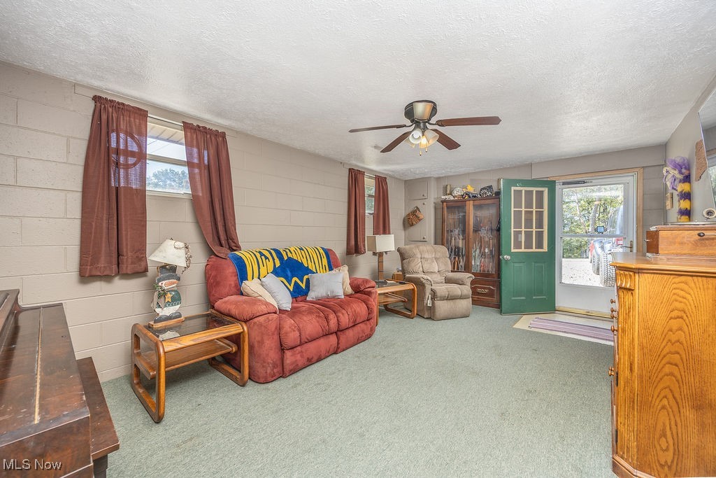 964 Co Rte 50/4 St. Marys, WV 26170 - Photo 21 of 47