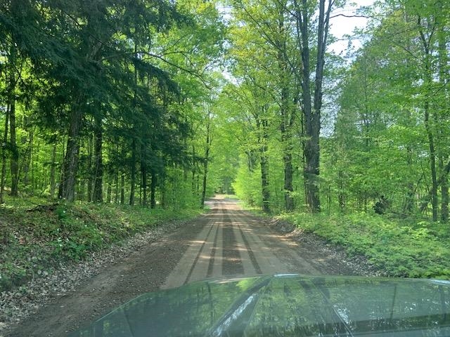 Stark Road Mancelona, MI 49659 - Photo 2 of 6 Gallery Image 2