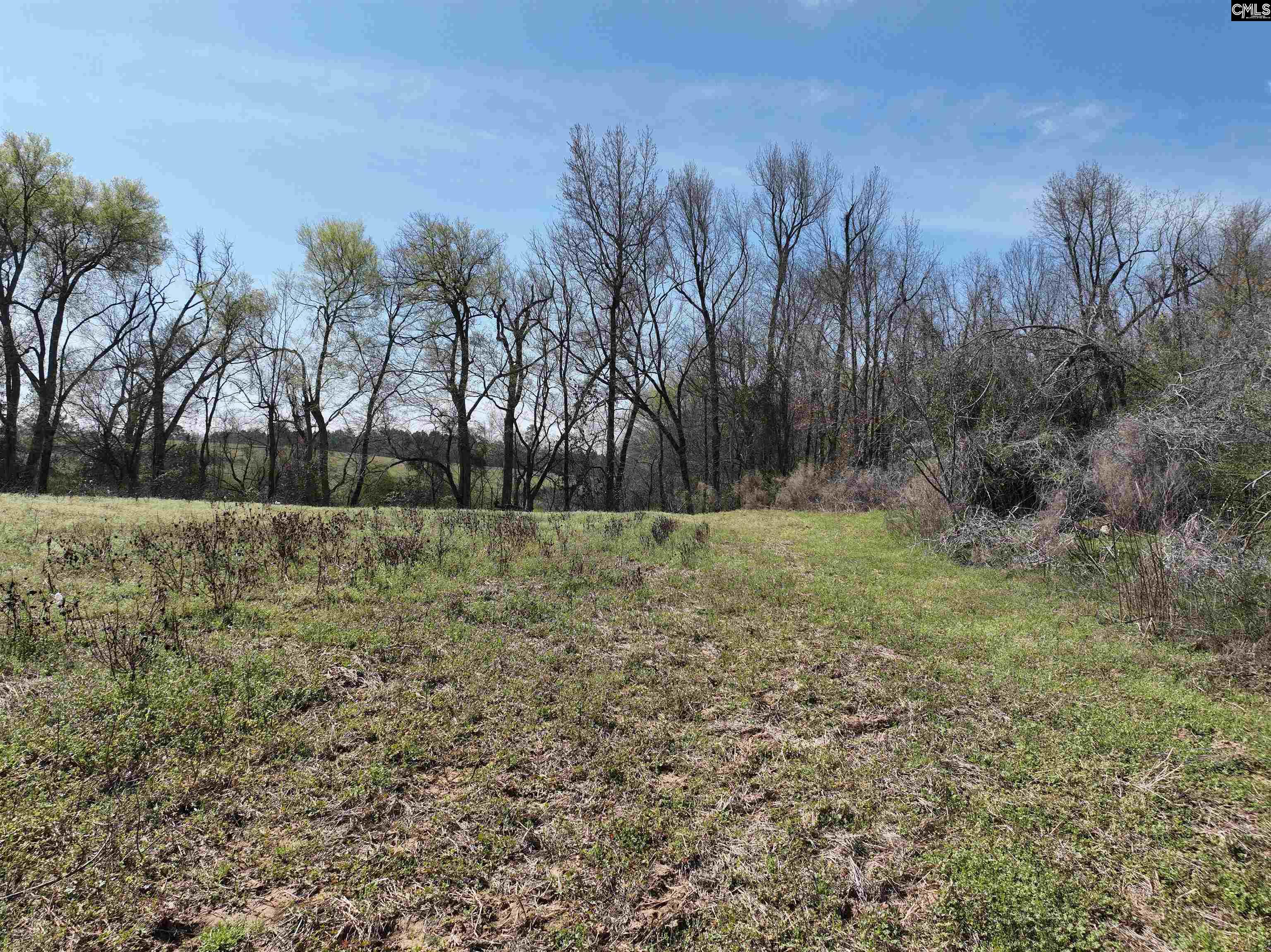 0 Dr Boylston Road Salley, SC 29137 - Photo 27 of 41