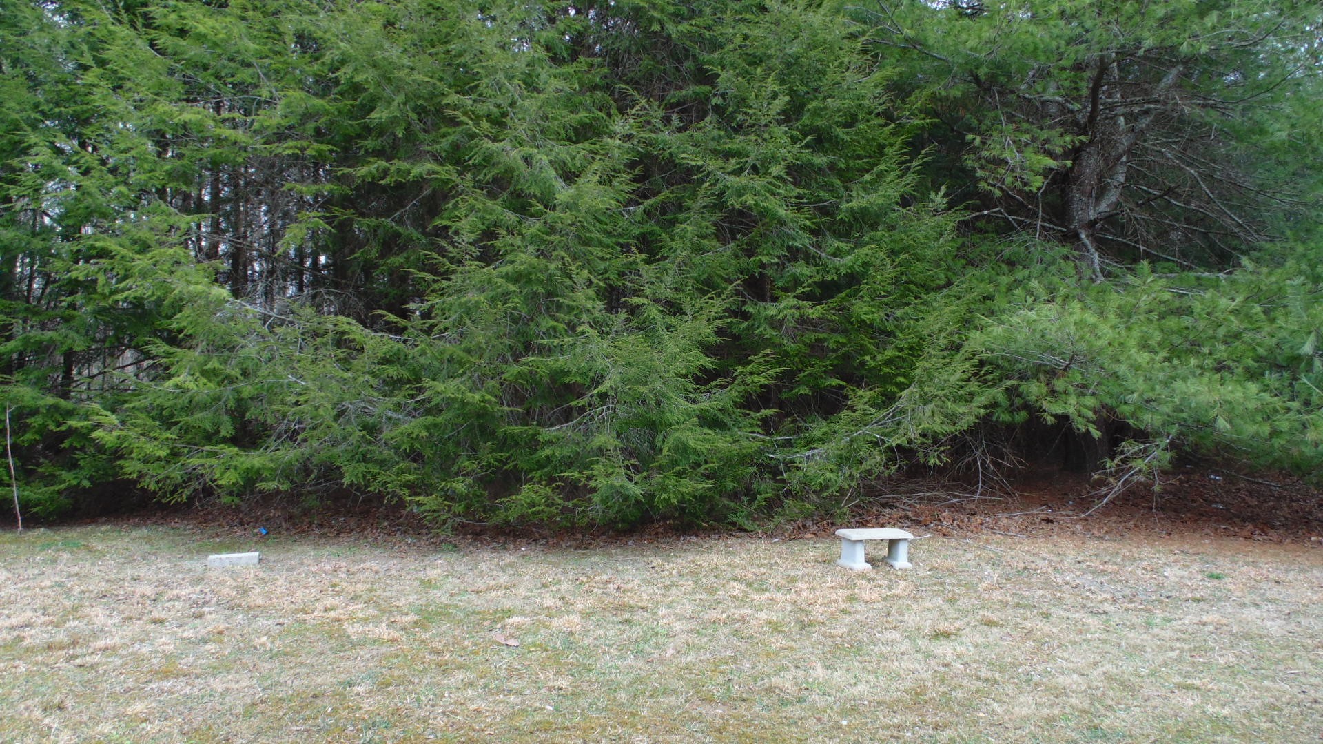 187 Hunziker Road Tracy City, TN 37387 - Photo 26 of 29 Gallery Image 26