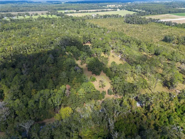 a view of a forest with a lake