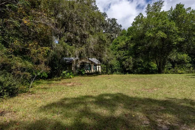 a view of a field with trees in the background