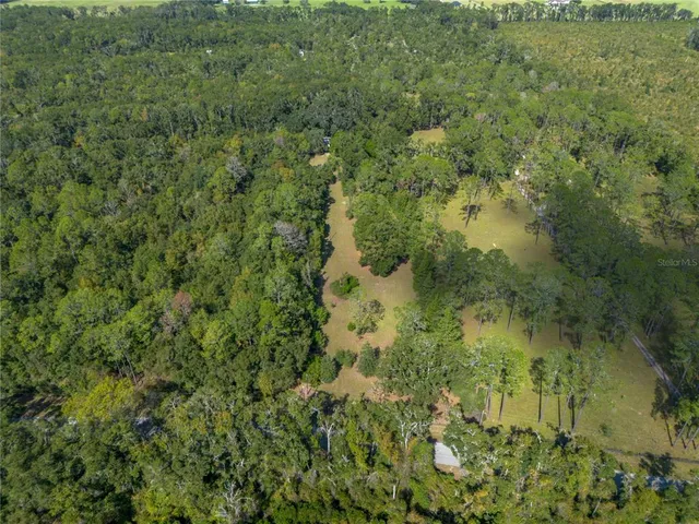 a view of a forest with a houses