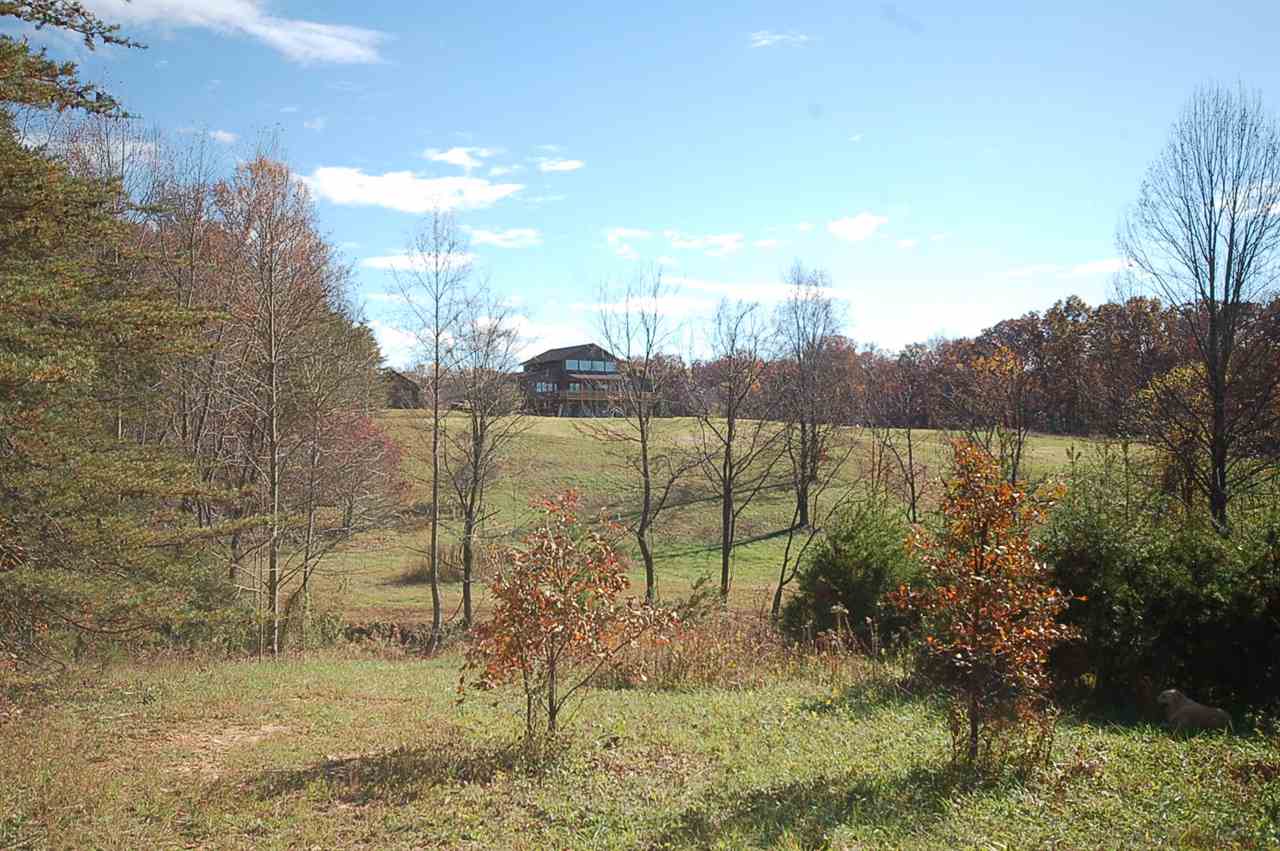 2505 Dunnes Shop Road Ruckersville, VA 22968 - Photo 12 of 29 a view of a lake from a yard