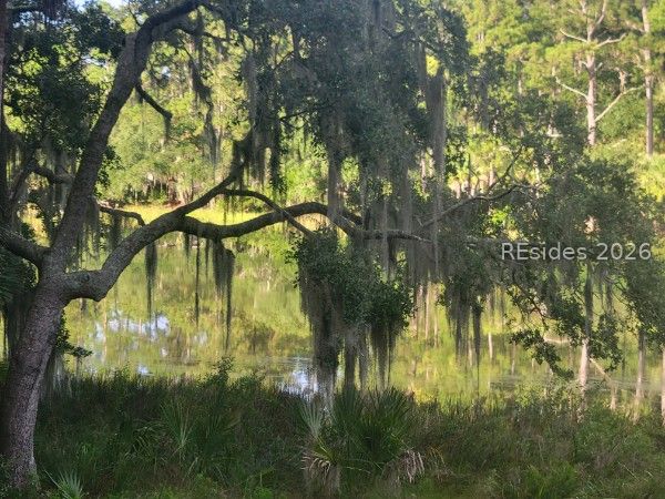 2 Chechessee Circle Okatie, SC 29909 - Photo 42 of 42