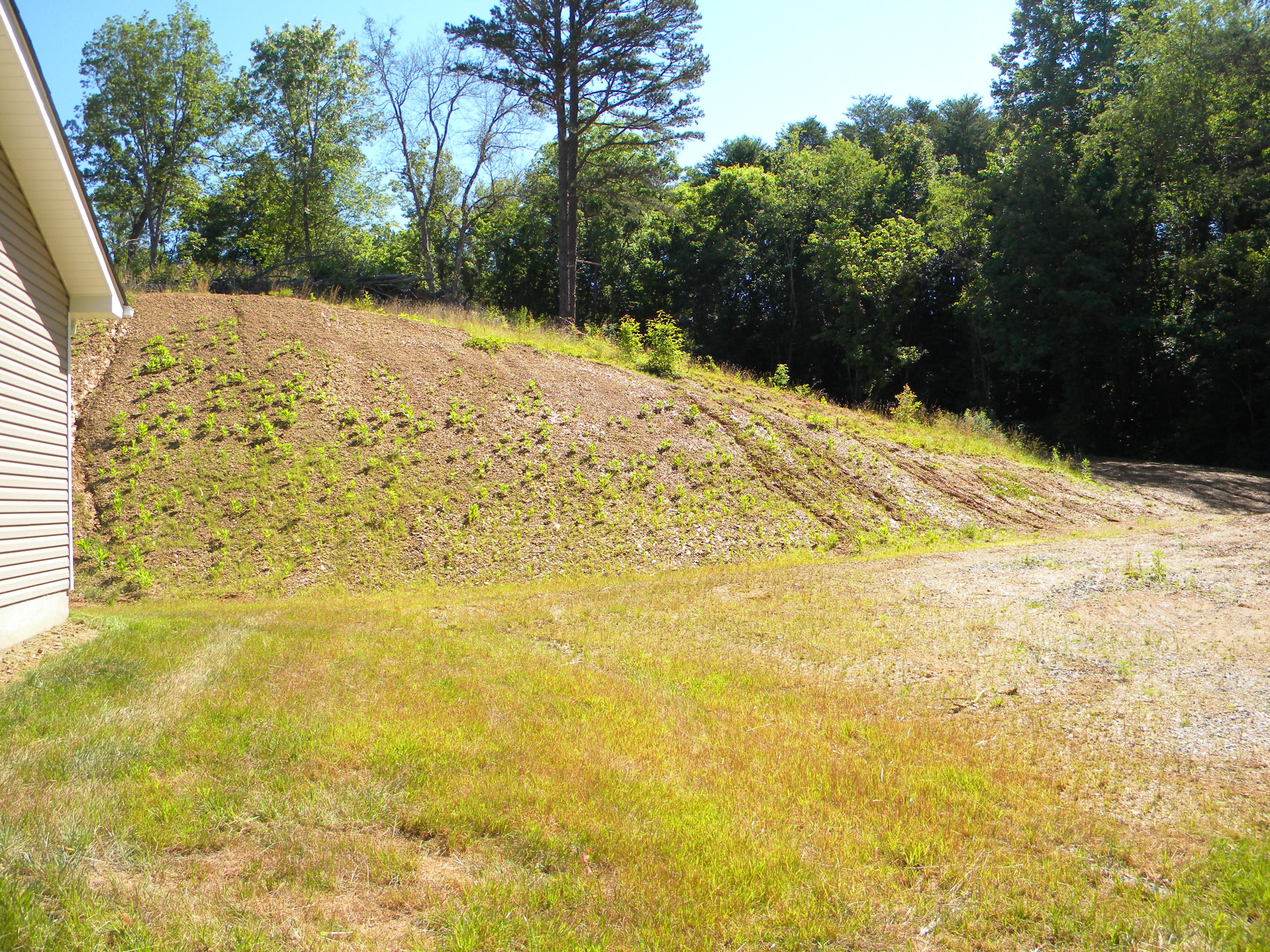 1258 Tramel Road Sevierville, TN 37862 - Photo 10 of 10 DSCN8463