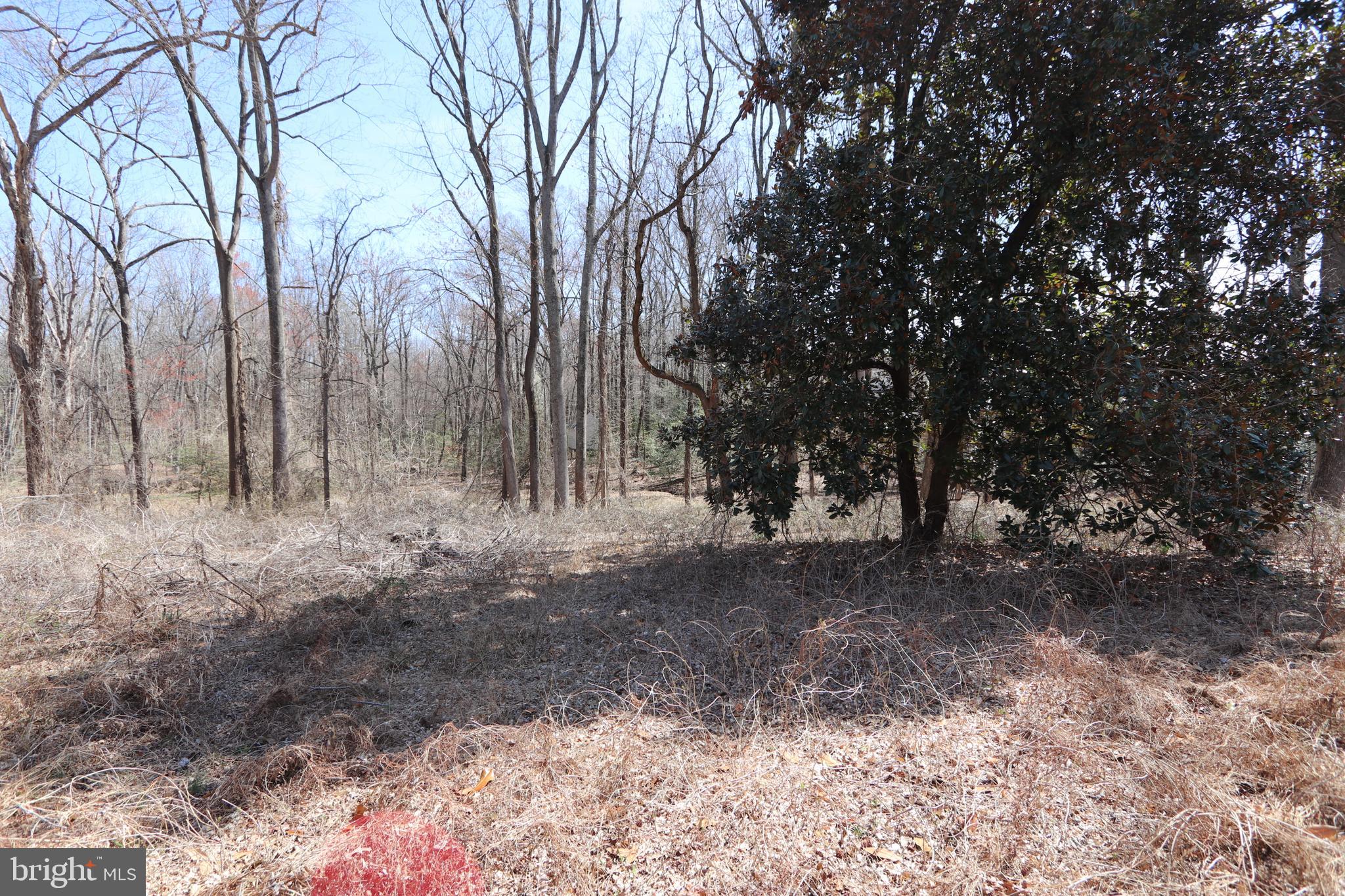 11225 Raby Road Waldorf, MD 20601 - Photo 3 of 17 a view of a yard with trees