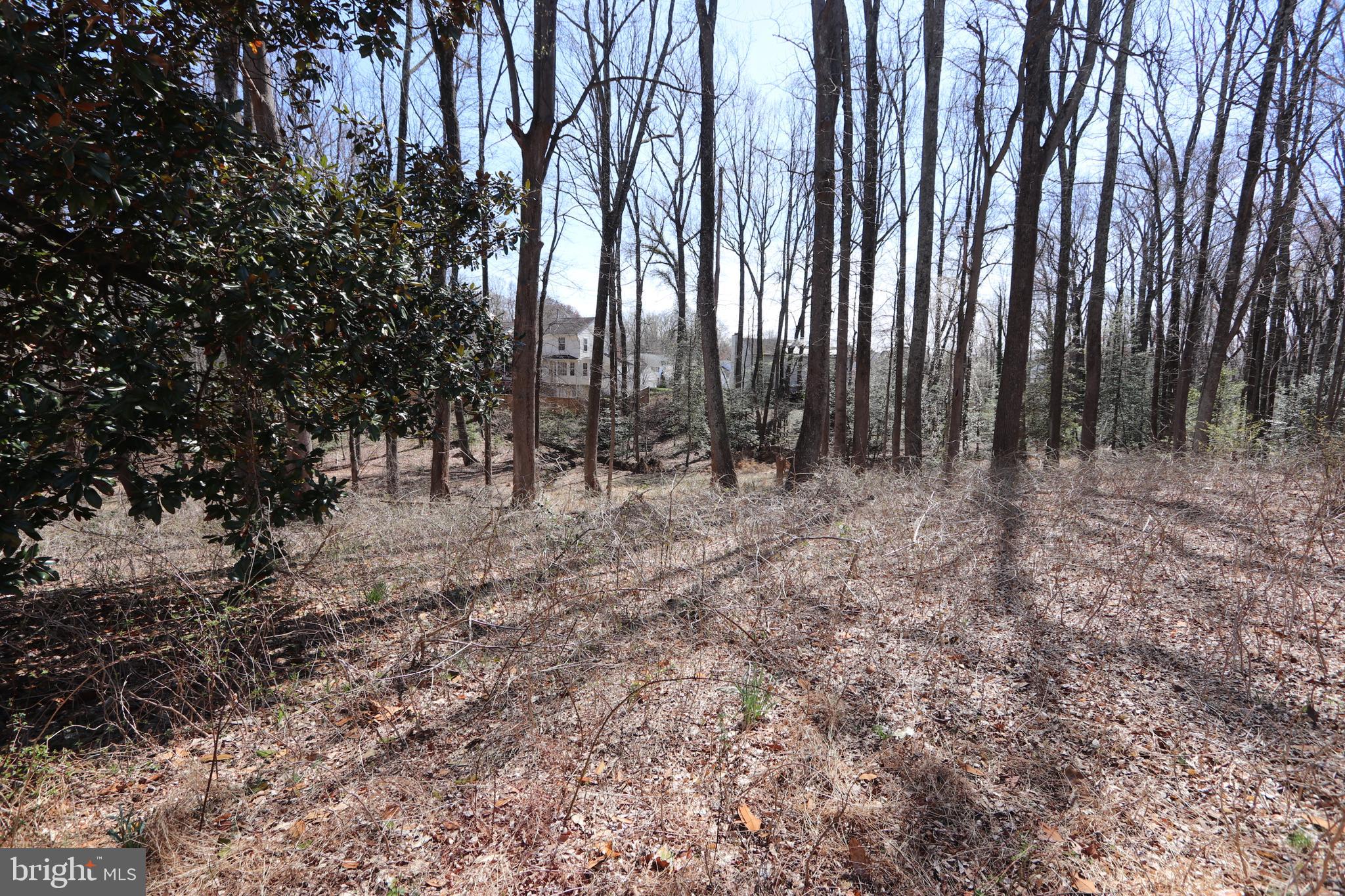 11225 Raby Road Waldorf, MD 20601 - Photo 4 of 17 a view of outdoor space with trees