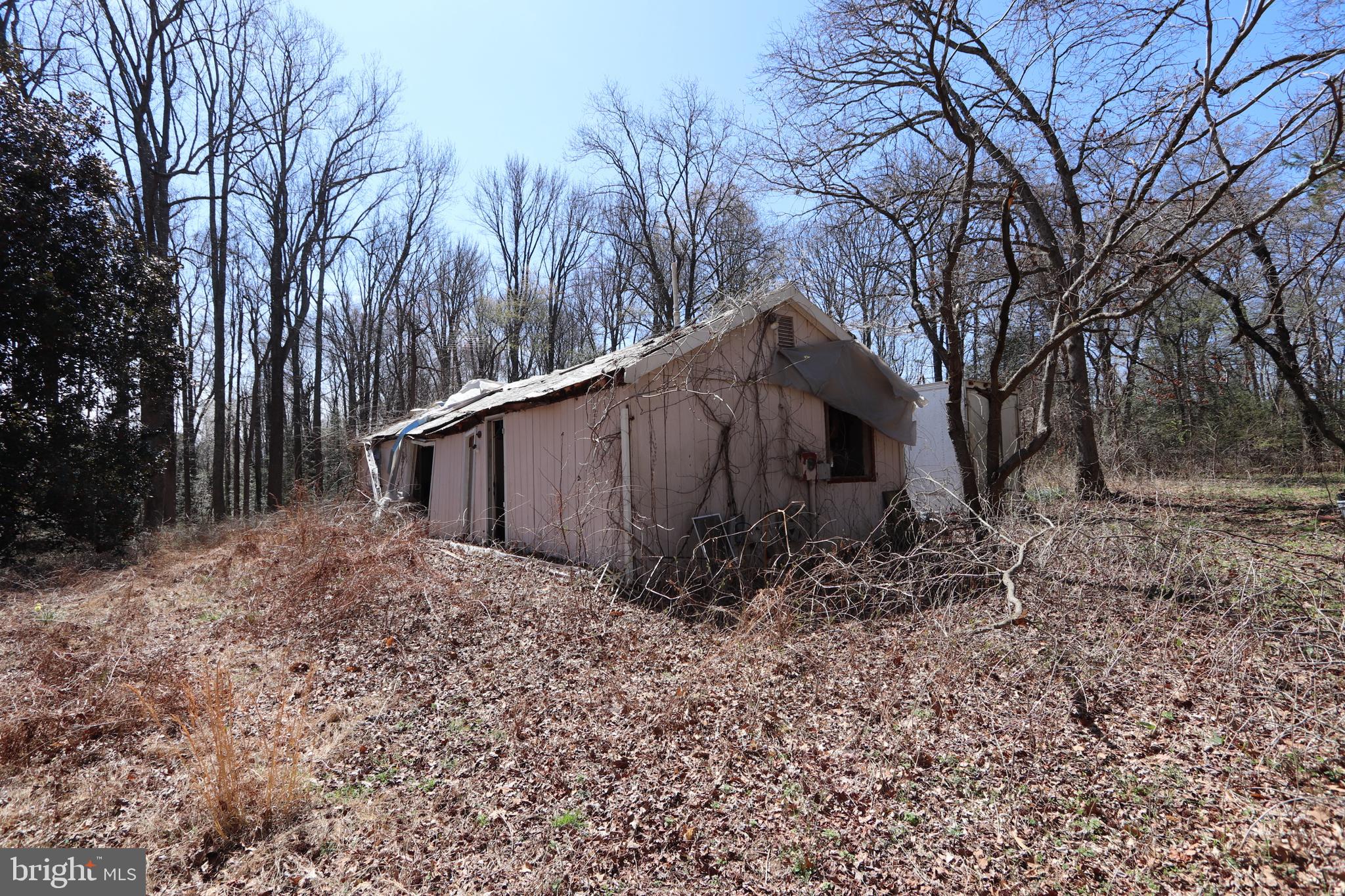 11225 Raby Road Waldorf, MD 20601 - Photo 5 of 17 a view of a barn in a yard with large tree