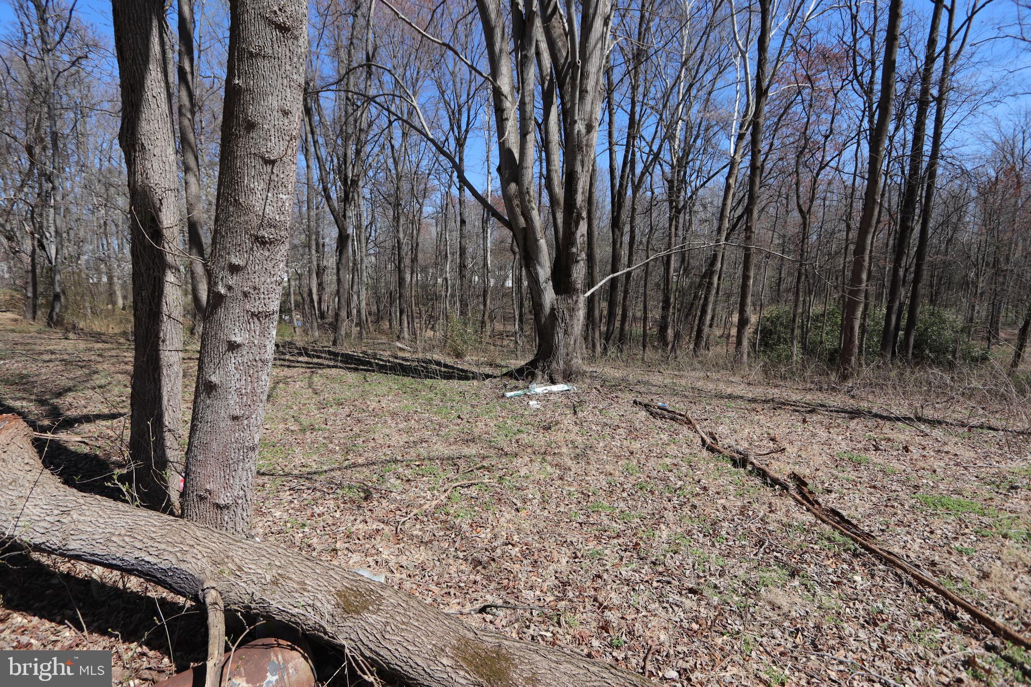11225 Raby Road Waldorf, MD 20601 - Photo 7 of 17 a view of a backyard with wooden fence and large trees