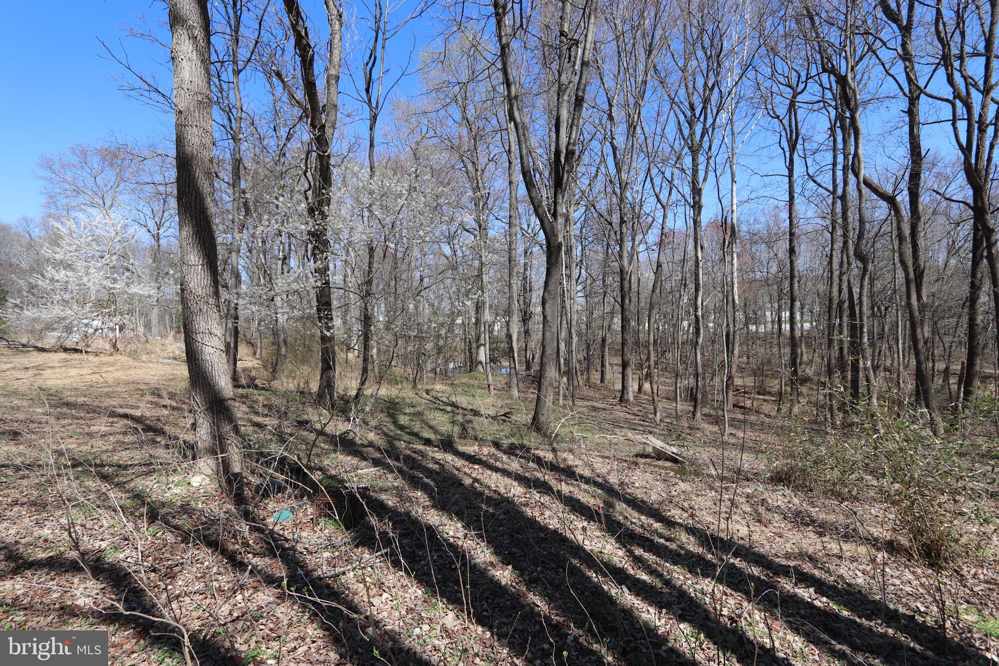 11225 Raby Road Waldorf, MD 20601 - Photo 8 of 17 a view of a yard with trees