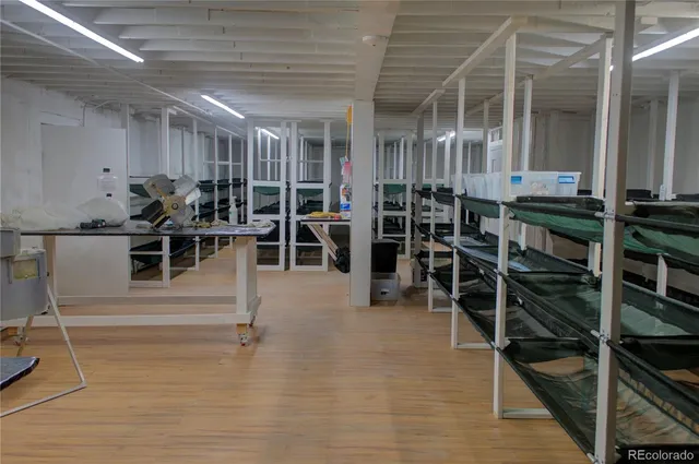 a view of walk in closet