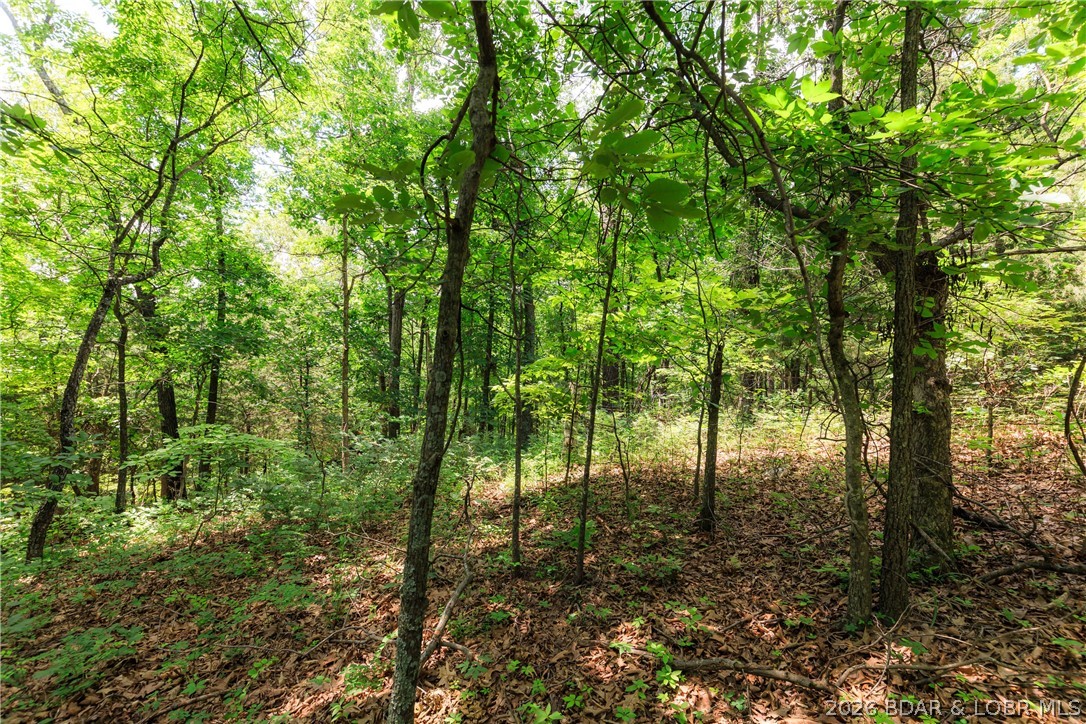 400 Hidden Acres Road Camdenton, MO 65020 - Photo 13 of 39