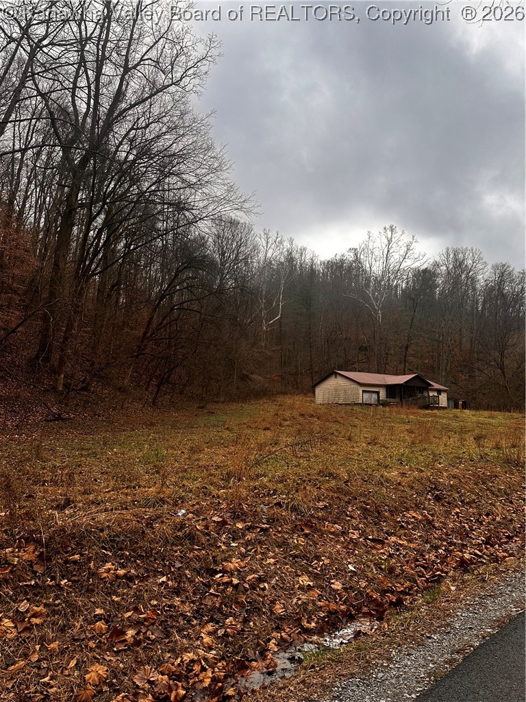827 Caney Branch Road Chapmanville, WV 25508 - Photo 17 of 18 Gallery Image 17
