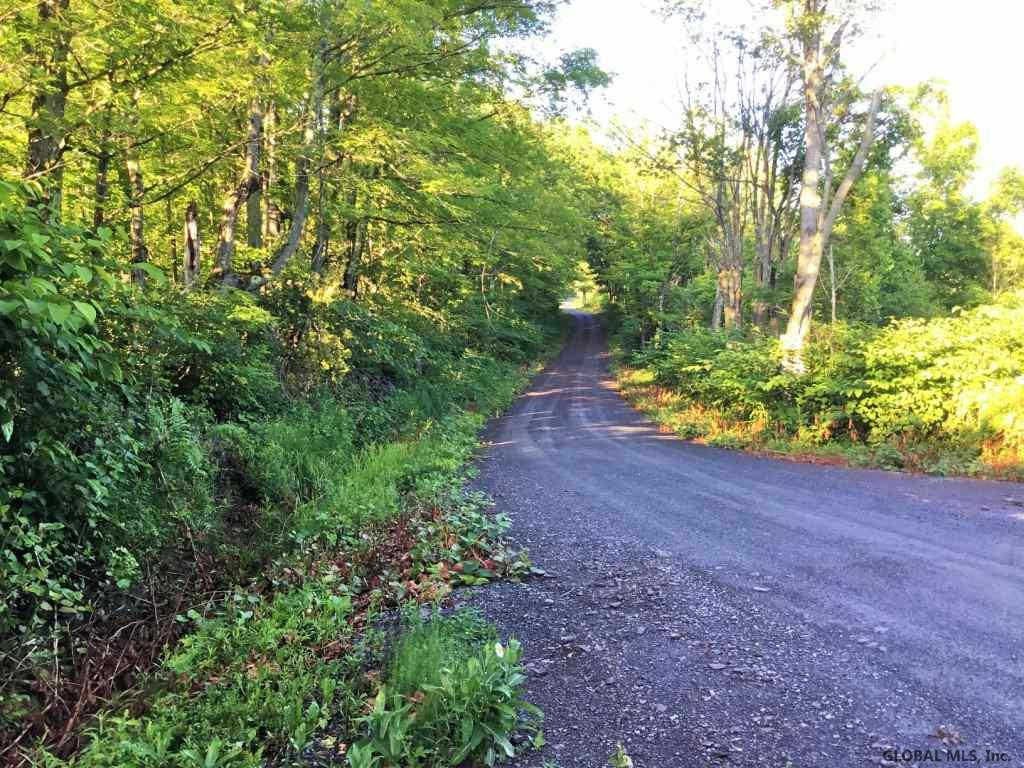 325 Thorington Road Broome, NY 12122 - Photo 17 of 26 Photo 17