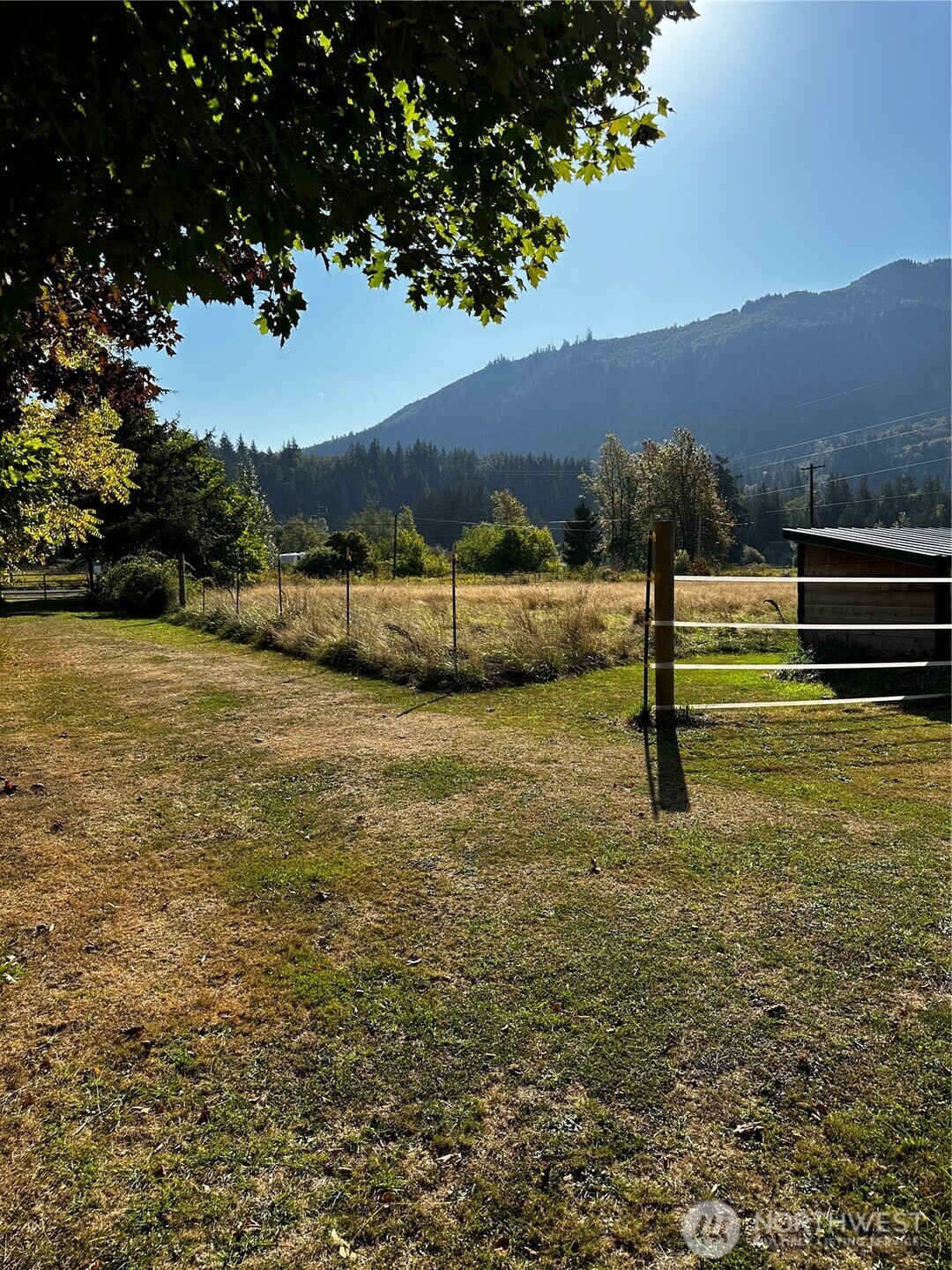 150 Anderson Road Glenoma, WA 98336 - Photo 18 of 21 a view of a yard with a tree
