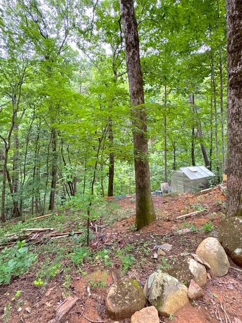 655 Mt Sequoyah Road Jasper, GA 30143 - Photo 14 of 38 Gallery Image 14