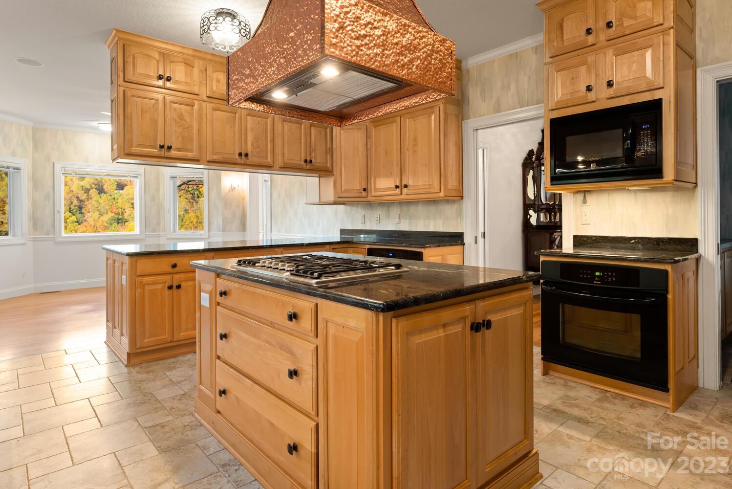 42 Country Club Road Mills River, NC 28759 - Photo 11 of 48 a kitchen with stainless steel appliances granite countertop a stove a sink and a microwave