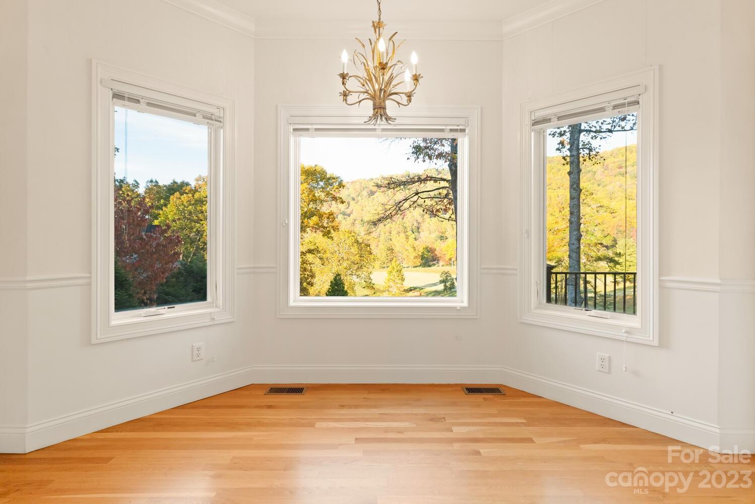 42 Country Club Road Mills River, NC 28759 - Photo 15 of 48 a view of an empty room with a window