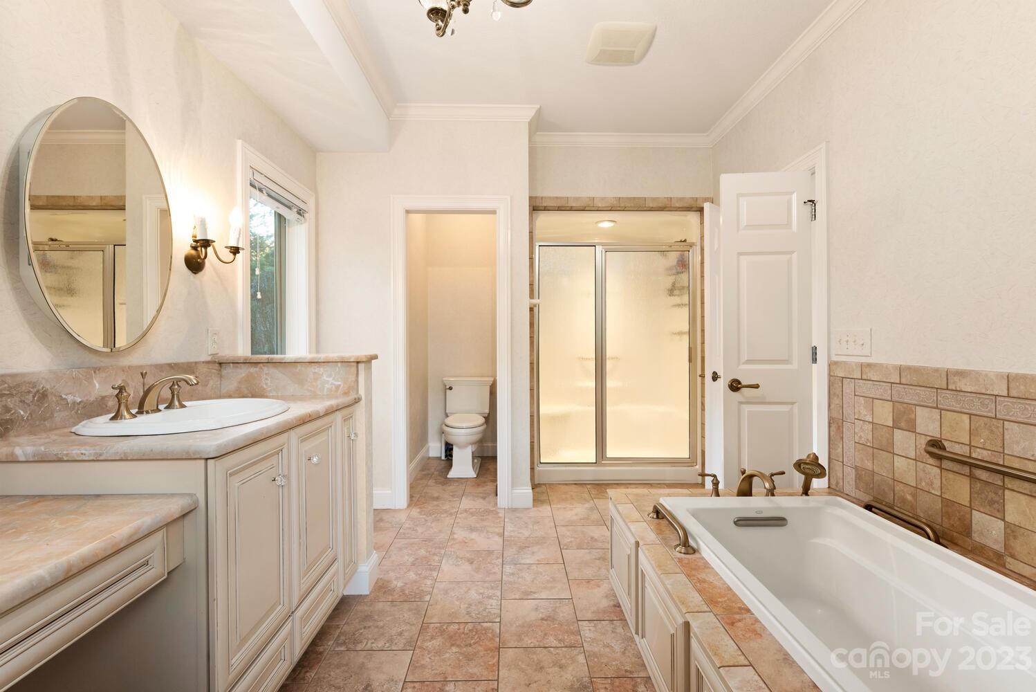 42 Country Club Road Mills River, NC 28759 - Photo 21 of 48 a bathroom with a tub sink and mirror