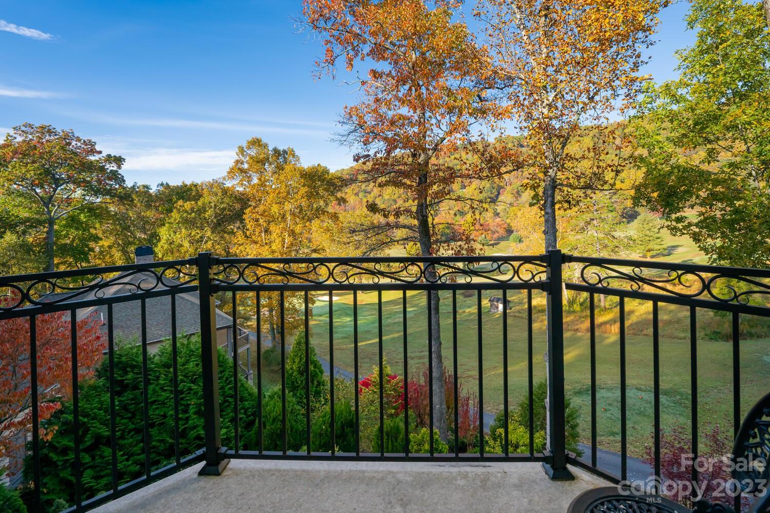 42 Country Club Road Mills River, NC 28759 - Photo 42 of 48 a view of a balcony