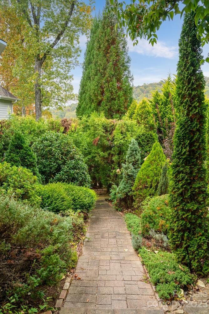 42 Country Club Road Mills River, NC 28759 - Photo 45 of 48 a view of a pathway both side of yard