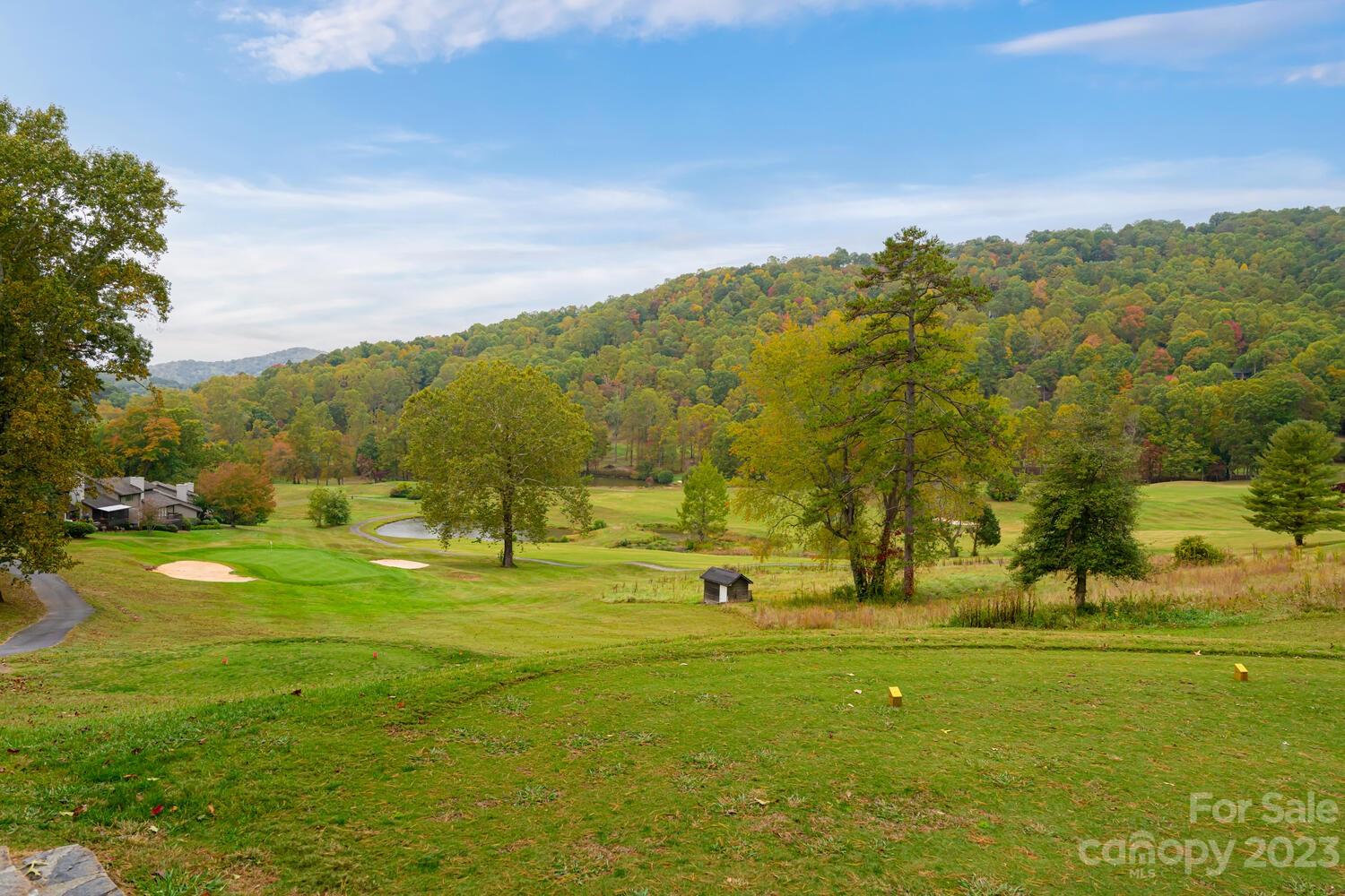42 Country Club Road Mills River, NC 28759 - Photo 46 of 48 a view of an ocean view