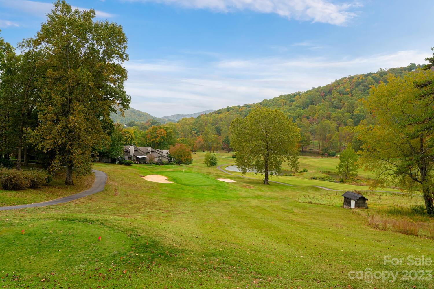 42 Country Club Road Mills River, NC 28759 - Photo 47 of 48 a view of an ocean view