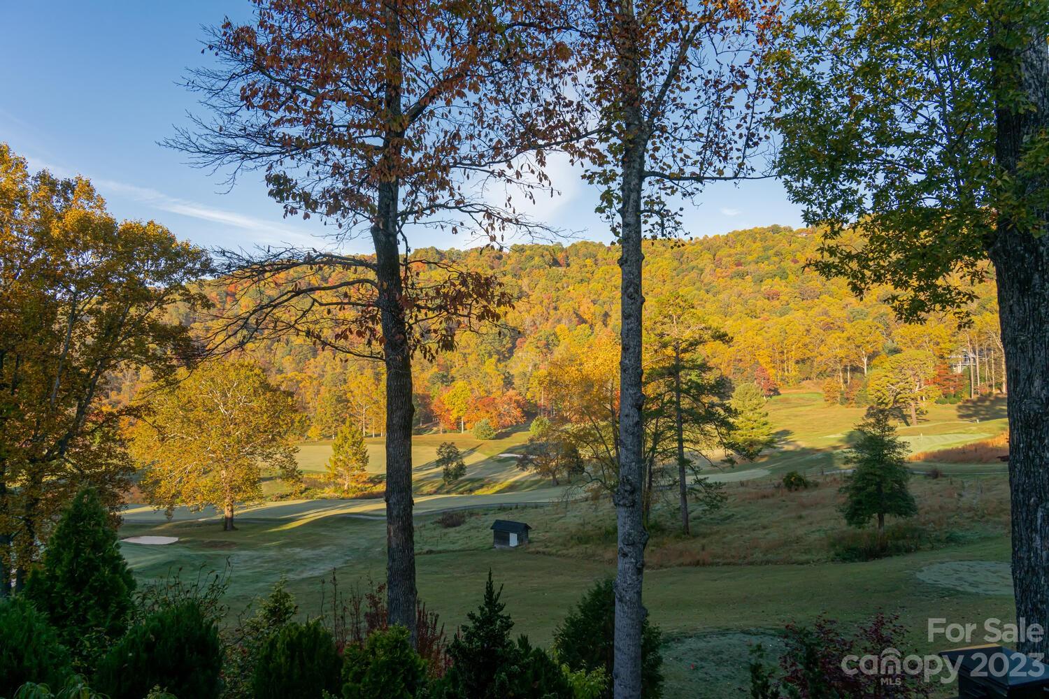 42 Country Club Road Mills River, NC 28759 - Photo 6 of 48 a view of a yard with a tree