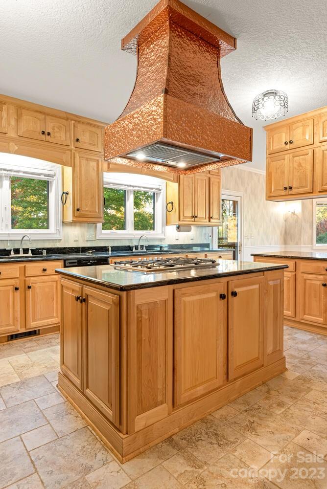 42 Country Club Road Mills River, NC 28759 - Photo 9 of 48 a kitchen with stainless steel appliances granite countertop a stove a sink and a microwave