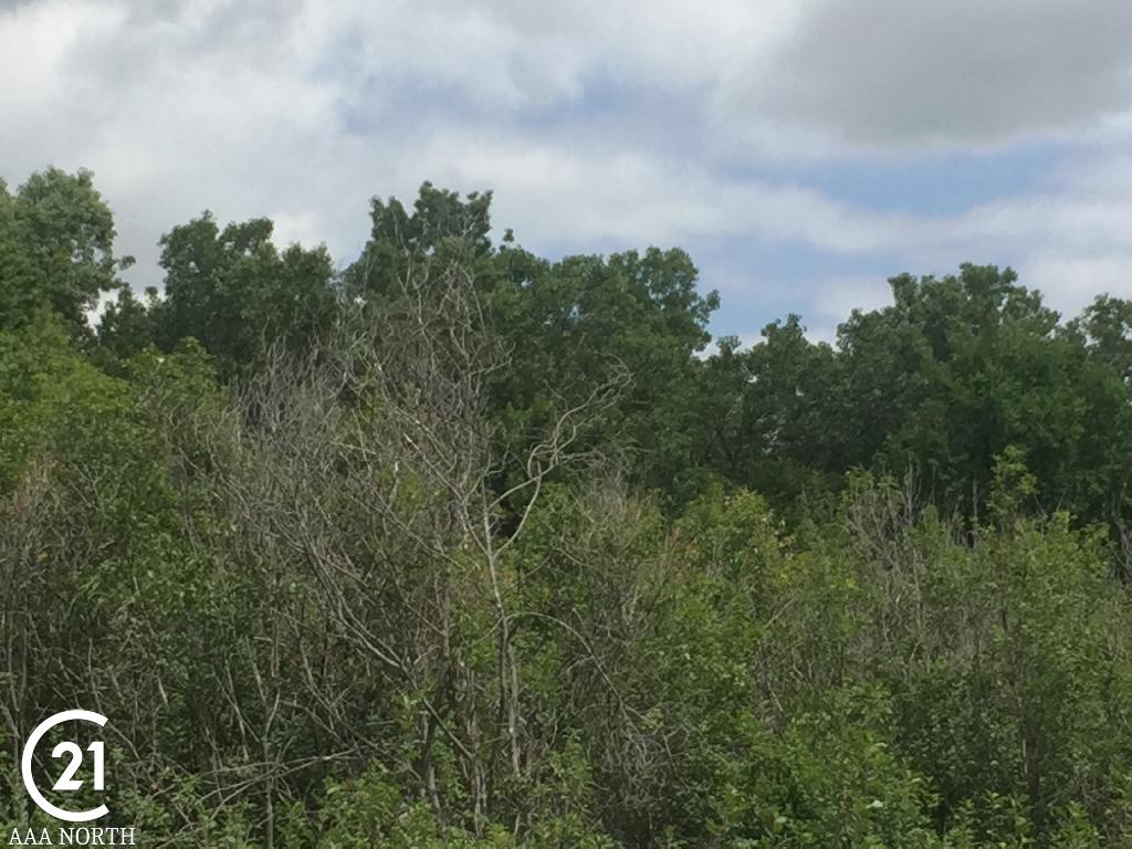0 Koehn Road Capac, MI 48014 - Photo 7 of 7