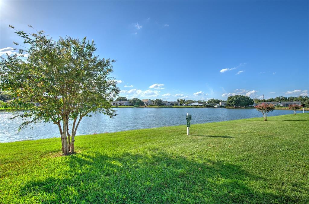 308 Lake Parsons Green, Unit 106 Brandon, FL 33511 - Photo 2 of 26 a view of yard with an trees