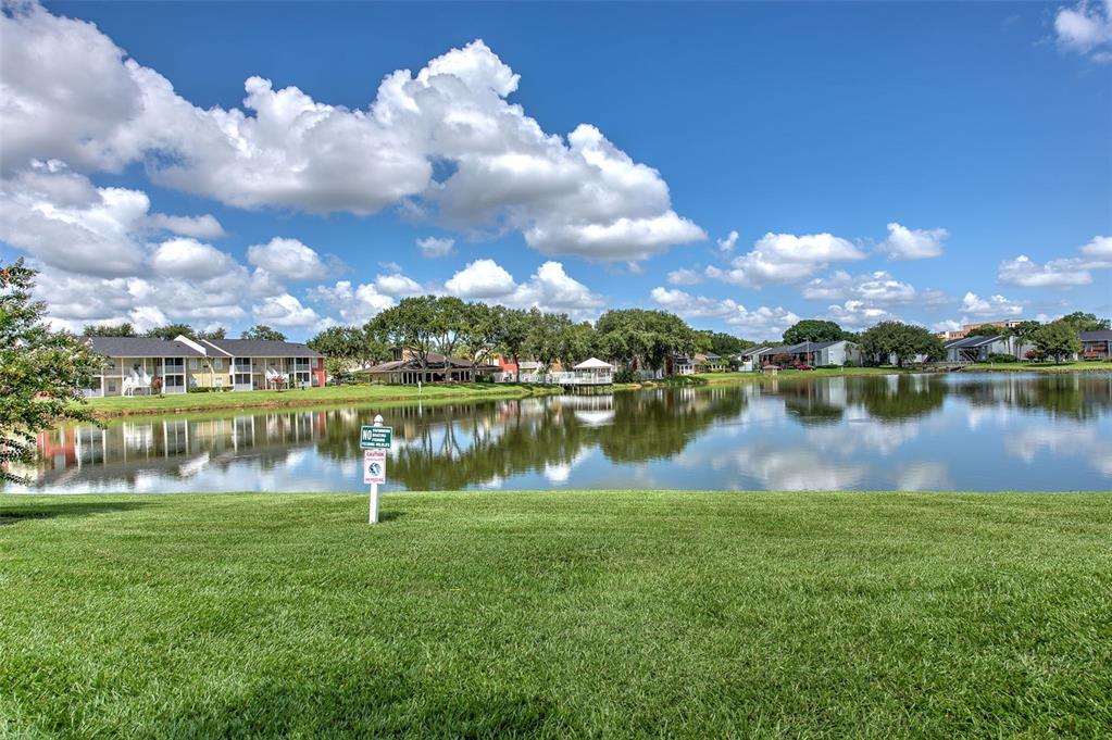 308 Lake Parsons Green, Unit 106 Brandon, FL 33511 - Photo 25 of 26 a view of a lake with houses in the back