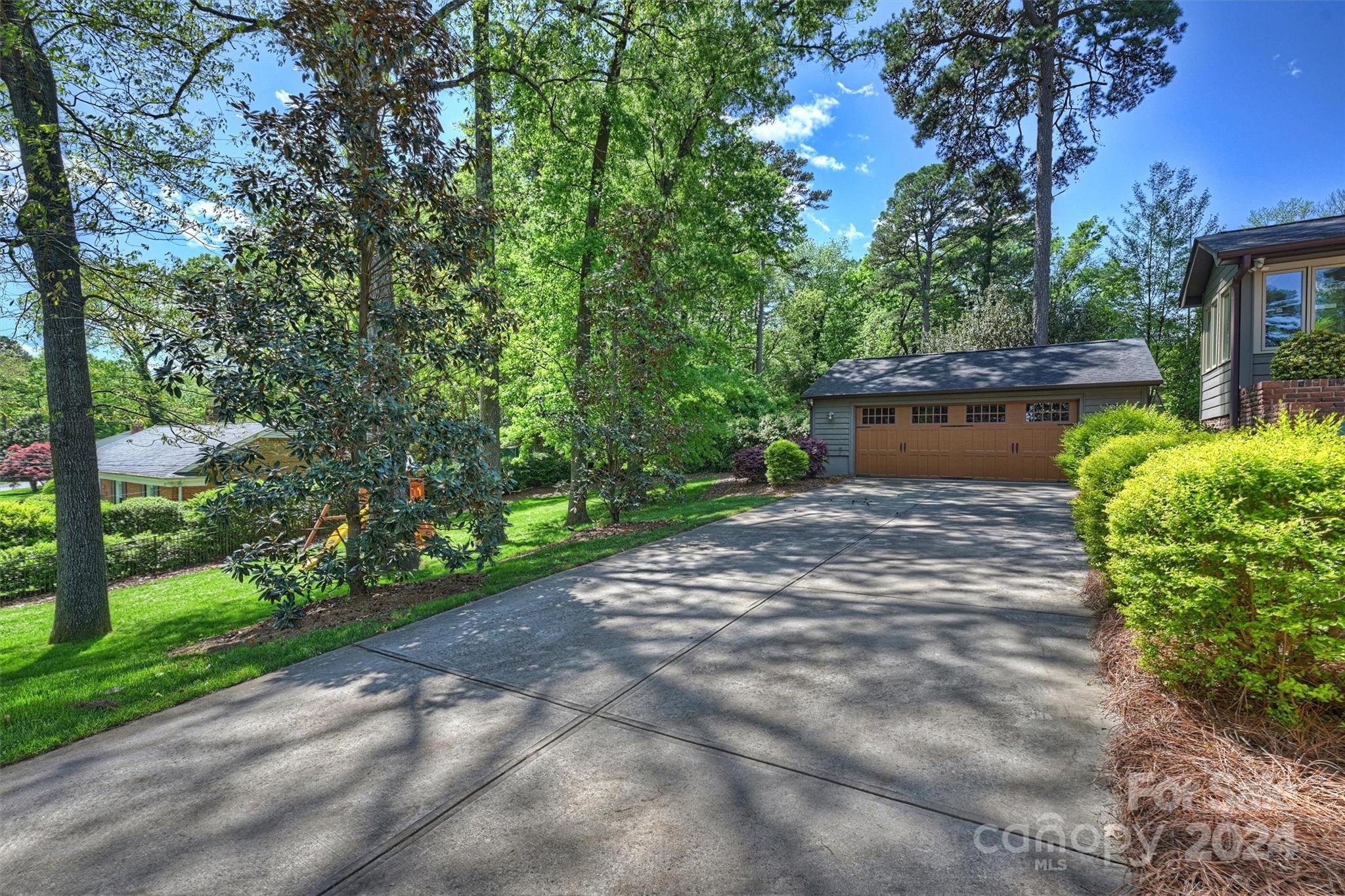 3820 Sulkirk Road Charlotte, NC 28210 - Photo 38 of 48 a view of a yard with plants and a large tree