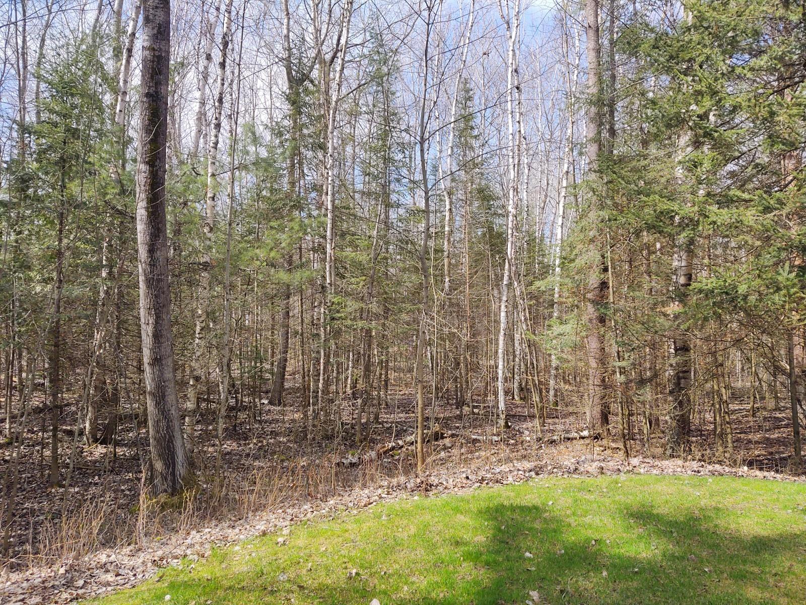 8275 Carter Road Cheboygan, MI 49721 - Photo 82 of 97 Gallery Image 82