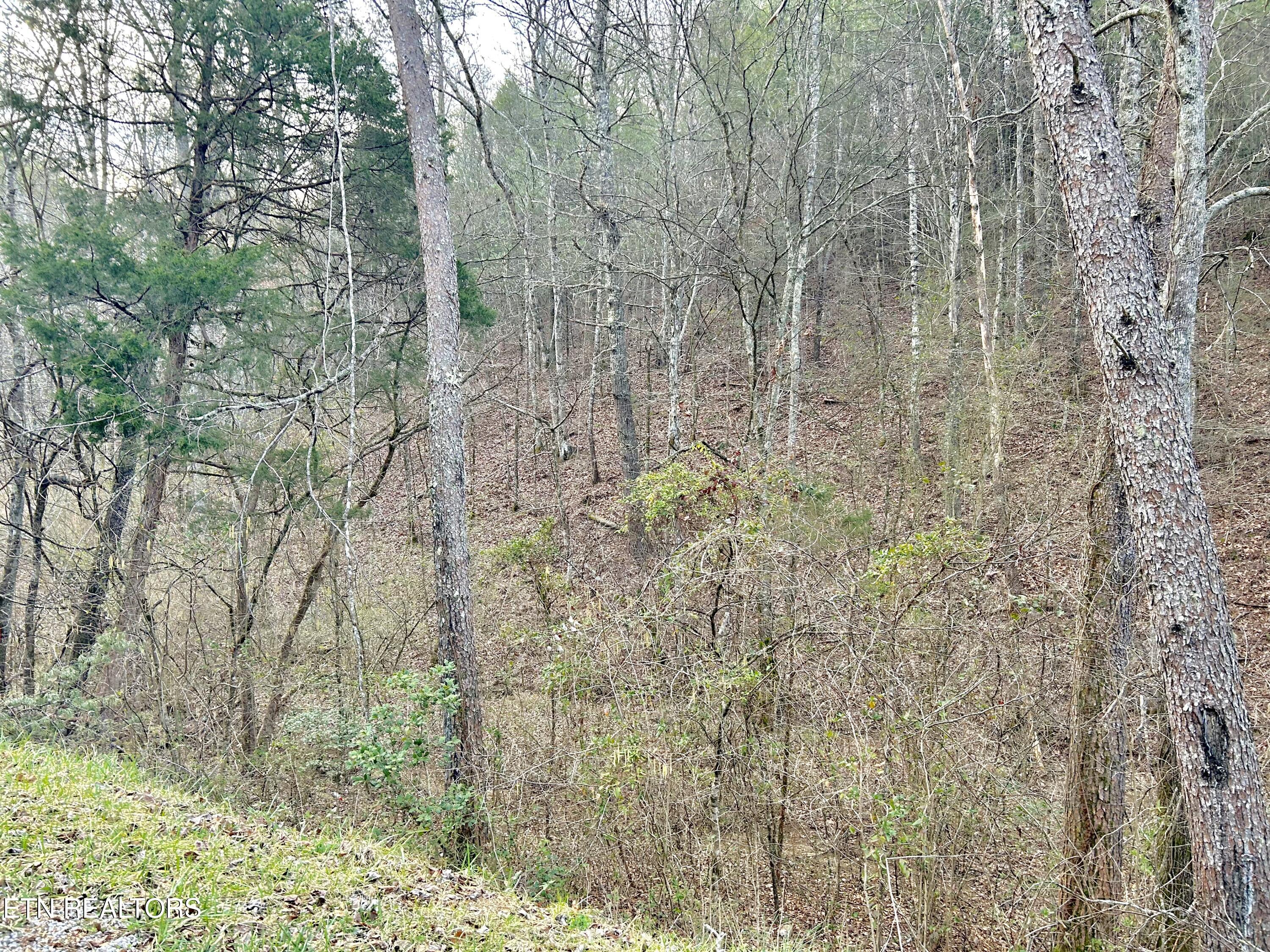 379 Maple Springs Road Reliance, TN 37369 - Photo 12 of 13 fullsizeoutput_1b3e