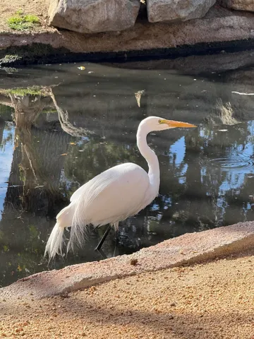 a view of a lake from a yard