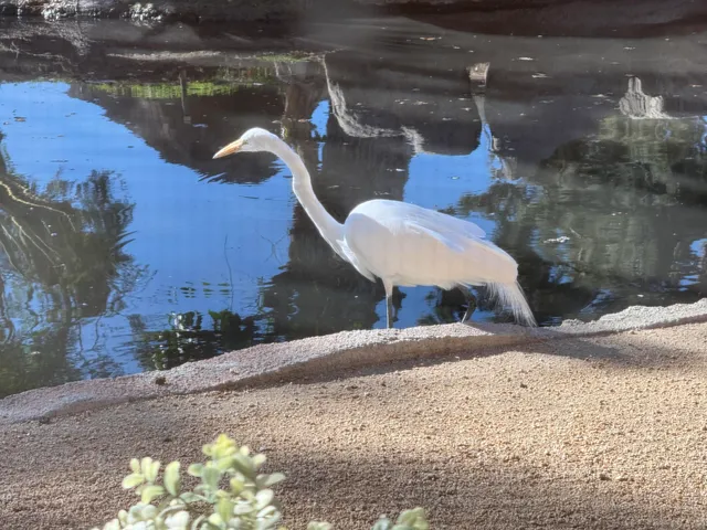 a front view of a building with lake view and a fountain