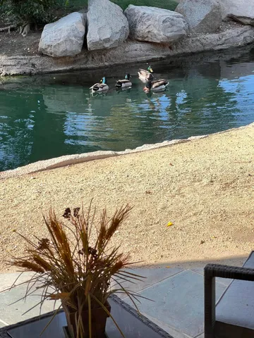 a street view with couple of cars parked on road