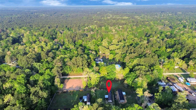 a view of a bunch of flowers