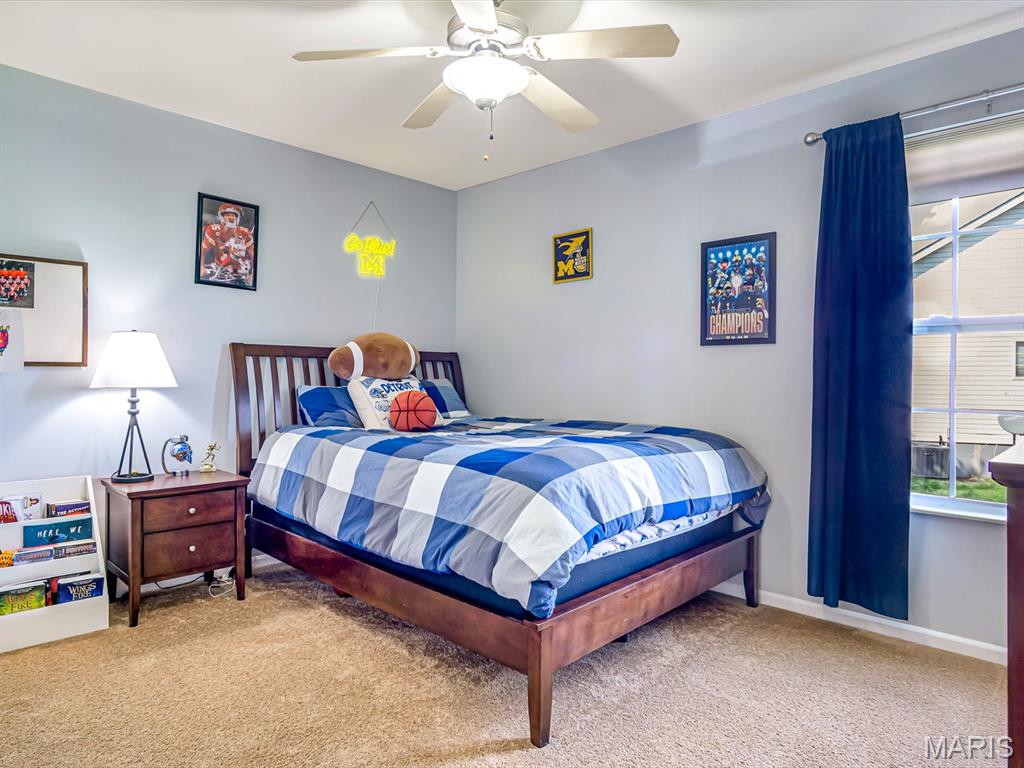 1008 West Fallen Lake Drive Waterloo, IL 62298 - Photo 21 of 56