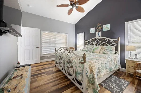 a view of a large yard with plants and large trees