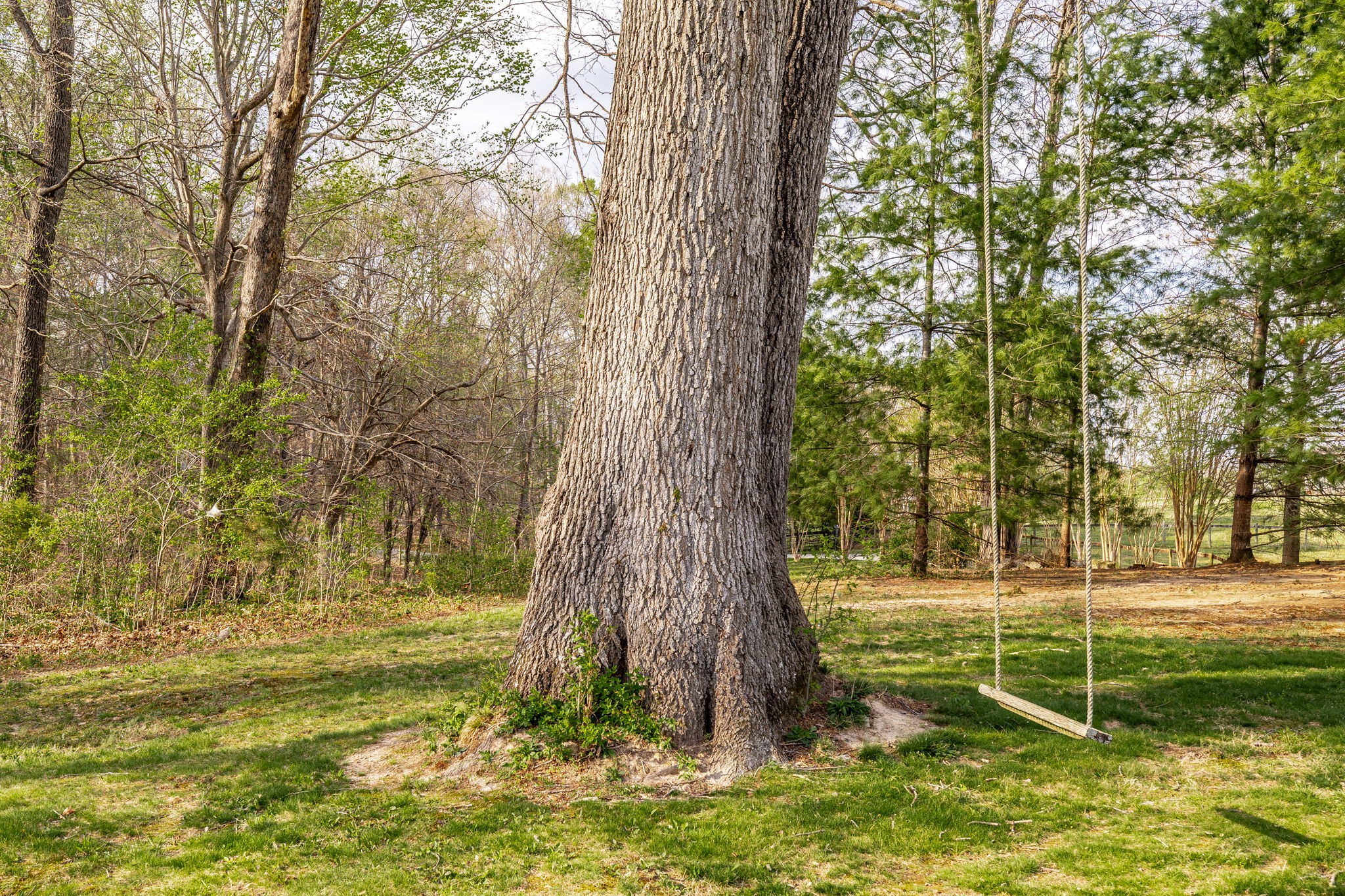 1075 Fannie Nicholson Road Chapmansboro, TN 37035 - Photo 19 of 100
